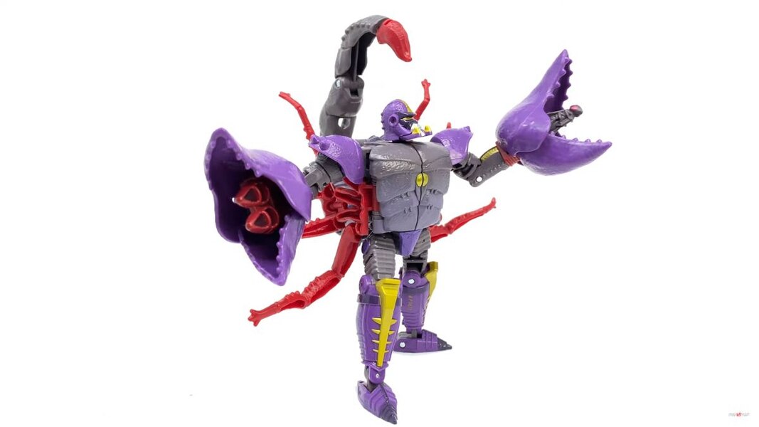 kingdom scorponok upgrade